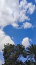 blue sky, white clouds background spring nature weather atmosphere, green trees Royalty Free Stock Photo