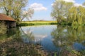 Blue sky with white clouds being reflected in the water of a pond Royalty Free Stock Photo