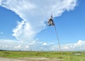 The blue sky with white clouds.