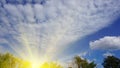 Blue sky with white clouds with golden sunlight on green treetops, natural beauty taken from the garden