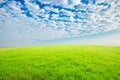 Blue sky and white clouds and grass