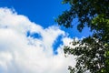 Blue sky,white clouds, green leaves