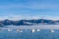 Blue sky, white clouds, mist & aquamarine seas at Akaroa Harbor. Anchored are fishing boats & sailboats, along the Port at Akaroa Royalty Free Stock Photo