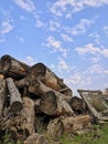 Blue sky with white clouds and old logs on green grass background Royalty Free Stock Photo