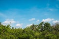 Blue sky and clouds over lush forest, Sri Nakhon Khuan Khan Park, Bang Krachao.
