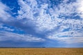 Beautiful blue sky with white clouds over wheat fields during harvest Royalty Free Stock Photo