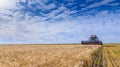 Beautiful blue sky with white clouds over wheat fields during harvest Royalty Free Stock Photo