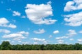 Blue Sky And White Clouds