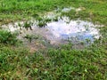 Blue sky with white clouds reflected in a puddle on green grass Royalty Free Stock Photo