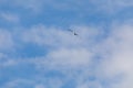 Blue sky with white clouds and small flying seagull bird figure. Royalty Free Stock Photo