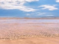 Blue sky white clouds  summer  beach sand  clear sea water wave seagull  sunny day seascape tropica pink flowers l plant green  le Royalty Free Stock Photo