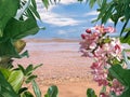 Blue sky white clouds  summer  beach sand  clear sea water wave seagull  sunny day seascape tropica pink flowers l plant green  le Royalty Free Stock Photo