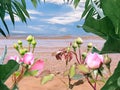 Blue sky white clouds  summer  beach sand  clear sea water wave seagull  sunny day seascape tropica pink flowers l plant green  le Royalty Free Stock Photo