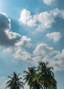 Blue sky white clouds. sun under the white sky. sunny daylight bright. above the trees at the horizon