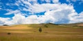 Blue sky with white clouds, trees, fields and meadows with green grass, against the mountains. Composition of nature Royalty Free Stock Photo