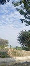 Blue sky white clouds in trees irrigstion flow water