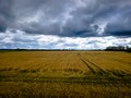 Blue sky with white clouds, yellow and green field. Summer. A good background for everything Royalty Free Stock Photo