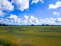 Blue sky with white clouds, yellow and green field. Summer. A good background for everything Royalty Free Stock Photo