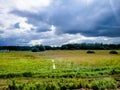 Blue sky with white clouds, yellow and green field. Summer. A good background for everything Royalty Free Stock Photo