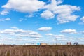 Blue sky with white cumulus clouds over city park Royalty Free Stock Photo