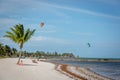 Blue sky with white sand and palm beach in Key West Royalty Free Stock Photo
