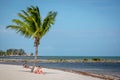 Blue sky with white sand and palm beach in Key West Royalty Free Stock Photo
