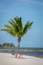 Blue sky with white sand and palm beach in Key West Royalty Free Stock Photo