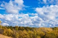 Blue sky, yellow forest