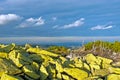 Mountains landscape with green yellow rocks on foreground. Royalty Free Stock Photo