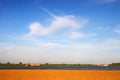 Blue sky and yellow sand.