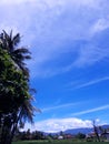 The blue sky for your day, and gratefull. Royalty Free Stock Photo