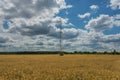 A blue, slightly cloudy sky over a grain field.