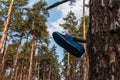Blue slipper hanging on a tree knot Royalty Free Stock Photo