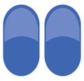 Blue slippers, icon