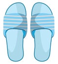 Blue slippers, icon