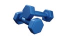 Blue small rubber textured dumbbells