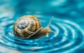 Blue snail shell on spiral-pattern background. Royalty Free Stock Photo