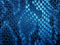 Blue snake skin background Royalty Free Stock Photo