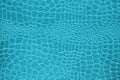 Blue snake skin texture background.