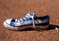 Blue sneaker Royalty Free Stock Photo