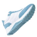 Blue sneaker isolated on white Royalty Free Stock Photo