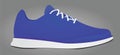 Blue sneaker. side view