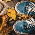 Blue sneakers on a background of yellow autumn leaves. 1:1 aspect ratio