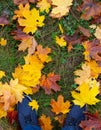 Blue sneakers on yellow leaves and green grass. Autumn sports concept. Vertical photo