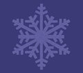 Blue snowflake icon