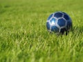 Blue Soccer Ball on Grass Royalty Free Stock Photo