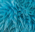 Blue soft animal fur modern macro closeup texture background Royalty Free Stock Photo