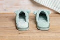 Blue soft fleece cozy slippers on the brown floor in the bedroom. Funny domestic shoes for cold winter season close-up. Warm