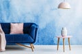 Blue and soft pink minimal style living room. Interior with dark