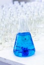 Blue solution methylene blue in erlenmeyer, experiments in chemistry laboratory